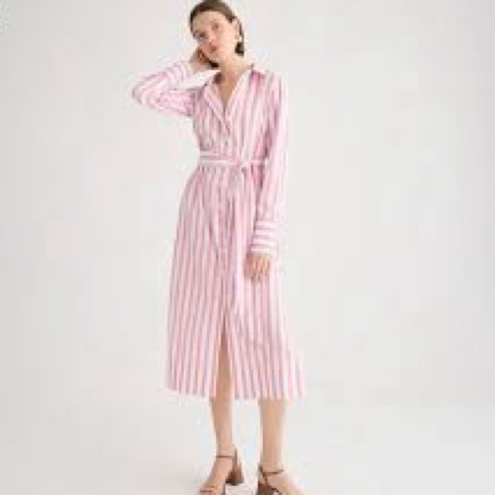 J.Crew NWT Long-sleeve button-up shirtdress in pink striped poplin, 6